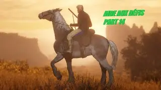 Aide aux D&Eacute;FIS PART 14