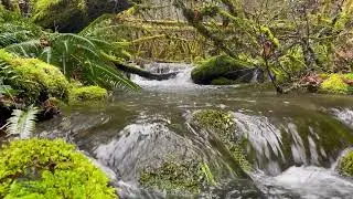 4K Nature Ambience in Applegate Valley, Oregon - Relaxing Sounds for calm, sleep, focus, asmr !