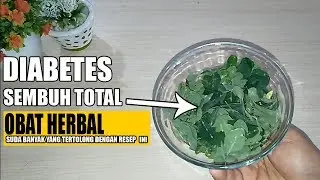 AMPUH BANGET !!! Obat Diabetes Paling Ampuh Didunia,CARA MENGOBATI DIABETES SECARA ALAMI
