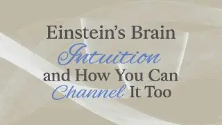 The Oracle: the Secret Sauce behind Einstein's Brain and the Science of Intuition