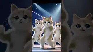 calm down dancing cat 🐈|| #funny #cute #trending #shorts #animals