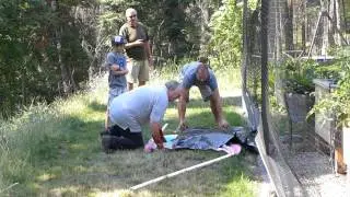 How to free a Skunk from a trap no music