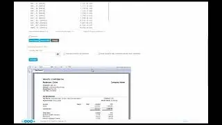 Blue Bison Software Demonstration