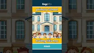 🇬🇧🇻🇳 primary school - trường tiểu học : learn English : h&atilde;y học tiếng Anh