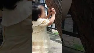 소나무껍질 좋아? 맨발의 아가? #16months #toddlers #pine_tree #shorts