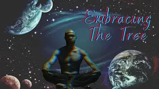 Free meditation lesson - Embracing the tree