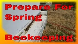 Start preparing for spring beekeeping - Start Now