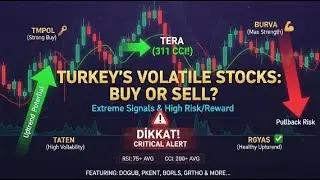 Volatil T&uuml;rk Hisseleri Teknik Analizi