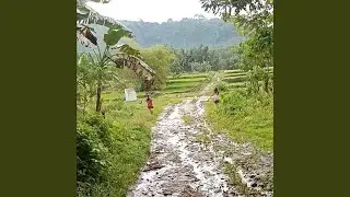 Happy Walk