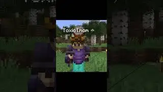 Minecraft SMP Minecraft Server Bloom SMP #tiktok #tiktokvideo
