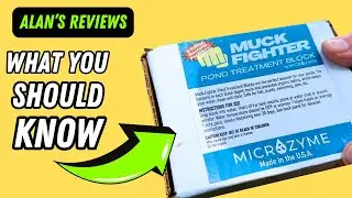 Miracle Pond Cleaner? Watch This Before You Buy - Muck Fighter Pond Treatment Block | Lasts 30 days