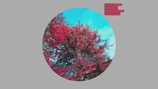 Nick May - Under The Stars - Digital Wilderness - Part Two (Visualisation)