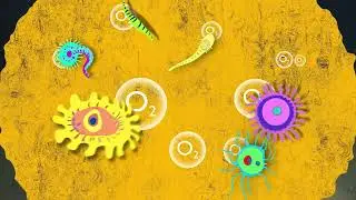 Exploring an Invisible World in the Ocean | Microbes in Oxygen Minimum Zones - Week 1