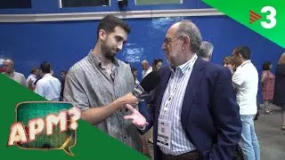 CIUTAT JUÁREZ: Feria del Taxi