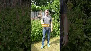 Moet je je schutting schuren voordat je gaat beitsen?