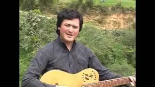 HECTOR VASQUEZ DIAZ   PALOMA MENSAJERA
