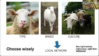 Rotational Grazing 101 Webinar with FACT