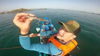 SURFACE LURES FROM A KAYAK - Kayak Bass fishing with a xorus Frosty