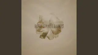 Such Small Hands