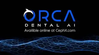 CephX by ORCA Dental AI  |  Automated 3D CBCT Dental Segmentation