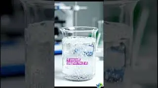 Zinc + Hydrochloric Acid Reaction 💥 | Hydrogen Gas Release | #Shorts