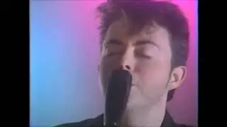 Richard Barone  - Cry Baby Cry