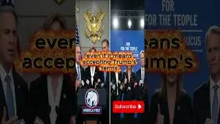 Trump vs Democrats: The Power Struggle for Washington