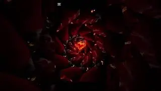 JC-Coraz&oacute;n en llamas 
