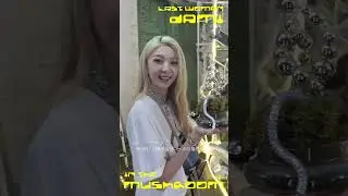 LAST WOMAN : DAMI in the (mush)room