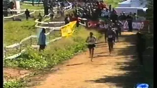Cross Itálica - masculino - 2003