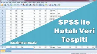 SPSS programı ile hatalı veri tespiti ve SPSS'e veri girişi sonrası yapılması gerekli kontroller