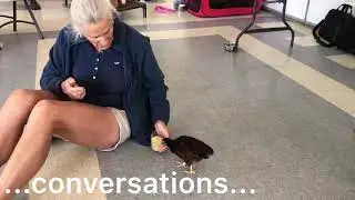 Community K9 Introduction to Clicker Training 2019