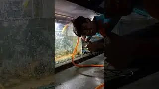 changing water of my all outdoor and indoor tanks😉|#shorts#viralvideo#subscribe#petmedia#minivlog