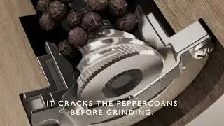 Precision+ grinding mechanism | Cole & Mason