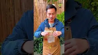 Lychee Branches Inside a Bottle? 🌱 The Rooting Trick Explained 🧪 #PlantPropagation #GardeningTips