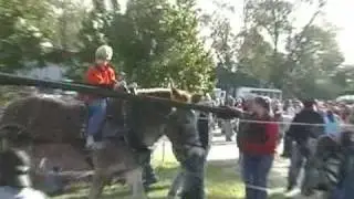 2008 Syrup Soppin Day at  Loachapoka