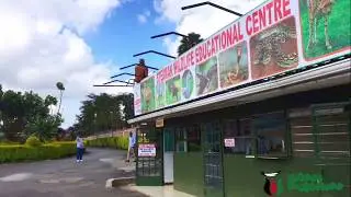 Mini-Tour-Stedmak Gardens Hotel & Animal Park! #MagicalKenya #TembeaKenya #Tour #Travel #Wildlife
