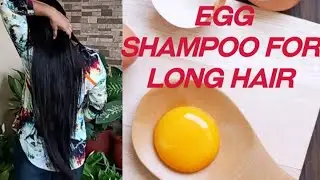 Homemade protein rich shampoo for healthy and strong hair