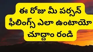 💯❤️ఈ రోజు మీ పర్సన్ ఫీలింగ్స్ ఎలా ఉంటాయో చూద్దాం రండి❤️❤️❤️