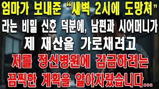 엄마가 보내준 