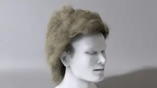 Hair Dynamic Simulation
