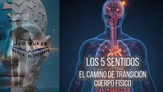 LOS CINCO SENTIDOS - EL CAMINO DE TRANSICION - CUERPO FISICO 01