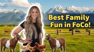Best Things To Do in Fort Collins Colorado | Affordable Family Activities