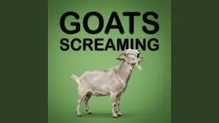 My Bonnie but it's Screaming Goats