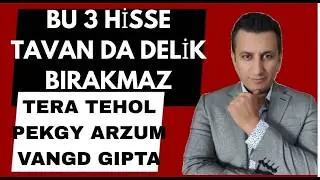 BU 3 HİSSE TAVAN DA DELİK BIRAKMAZ.. TERA TEHOL PEKGY ARZUM VANGD GIPTA