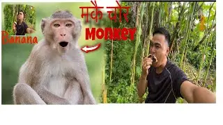 My-vlog👉Village life #gauly vlog 🤭🤭