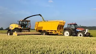 New Holland FR780 & 600FDR direct cut header - Loonw.  De Bruyne - tarwe hakselen