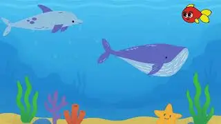 Under the Sea | Relaxing Ocean Background for Kids Learning Videos