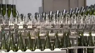 GLOBALink | Spanish wine sector concerned over rising prices, transport strike