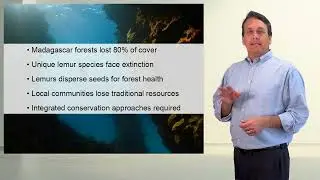 Biodiversity Loss (Social and Biological Focus)
